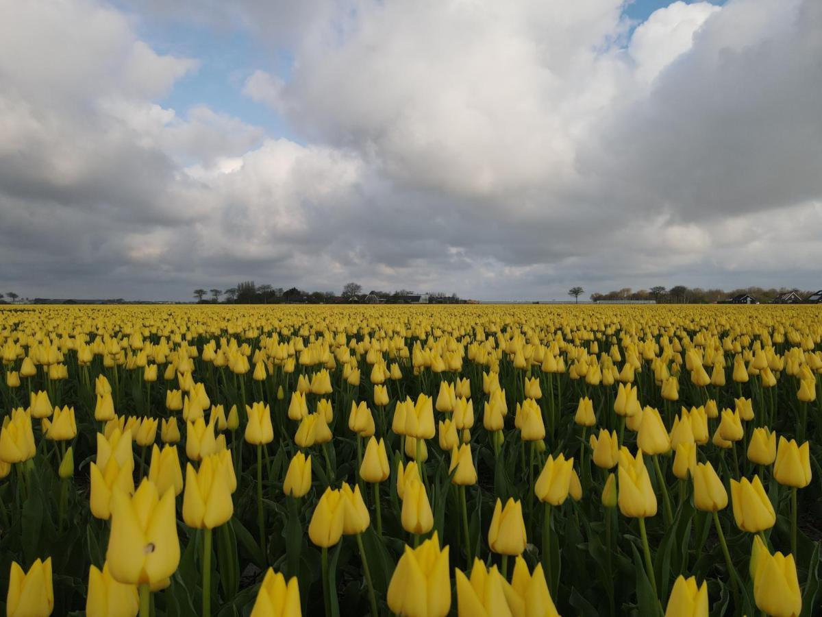 Camping De Tulpenweide Lege Kampeerplaats, Lege Plaats Op Het Gras Zonder Bed Breezand Bagian luar foto