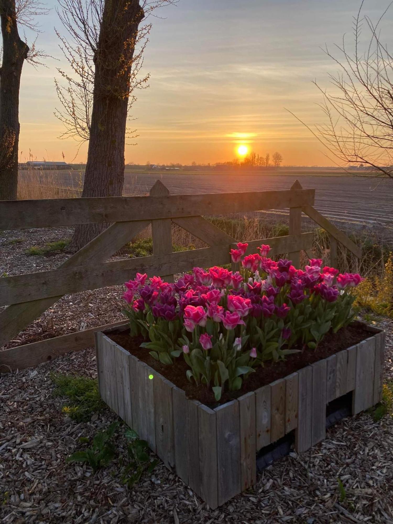 Camping De Tulpenweide Lege Kampeerplaats, Lege Plaats Op Het Gras Zonder Bed Breezand Bagian luar foto