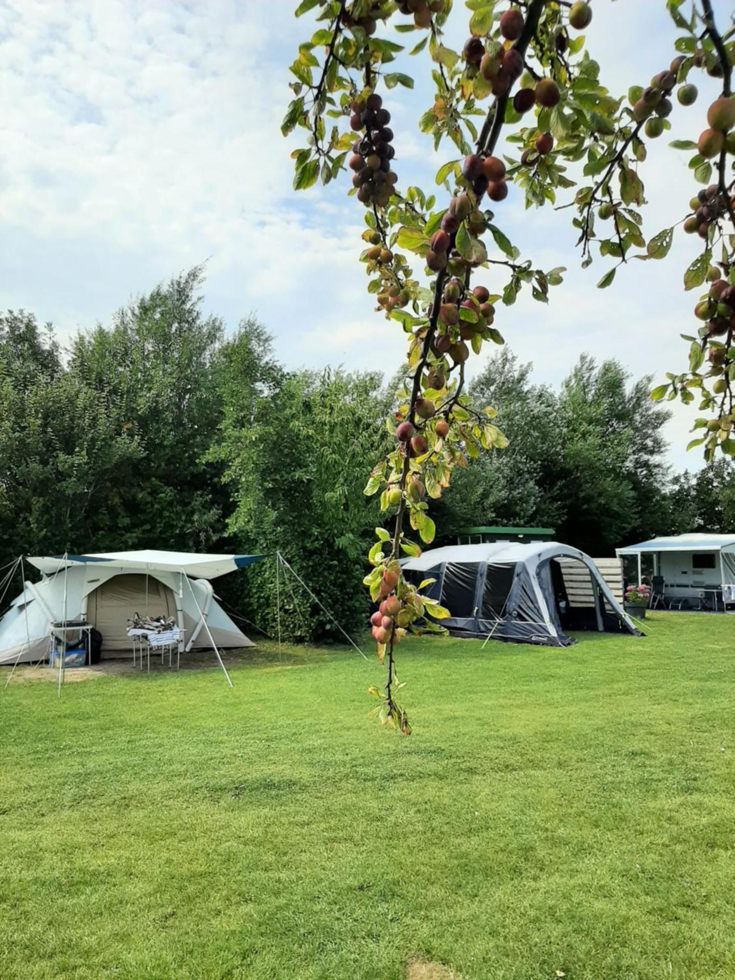 Camping De Tulpenweide Lege Kampeerplaats, Lege Plaats Op Het Gras Zonder Bed Breezand Bagian luar foto