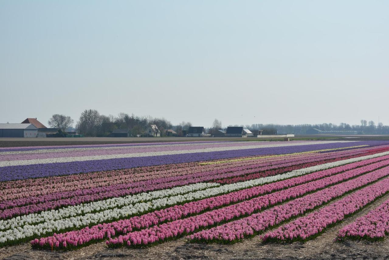Camping De Tulpenweide Lege Kampeerplaats, Lege Plaats Op Het Gras Zonder Bed Breezand Bagian luar foto