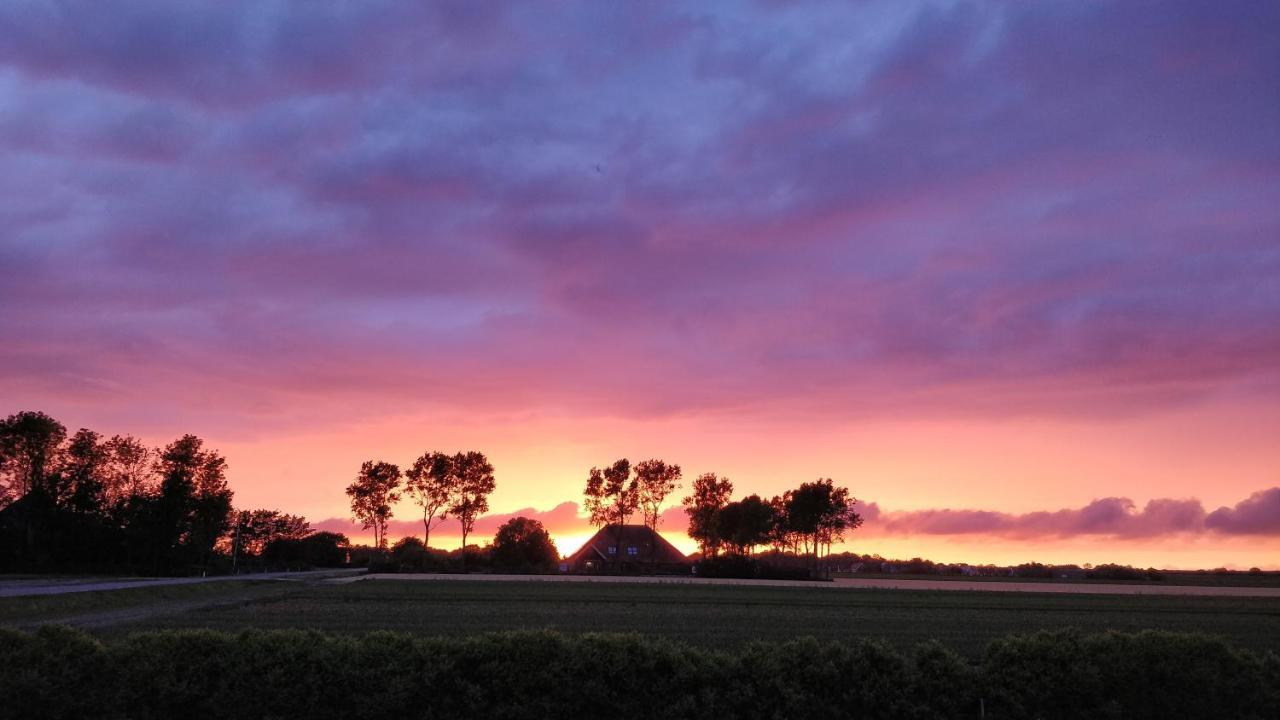 Camping De Tulpenweide Lege Kampeerplaats, Lege Plaats Op Het Gras Zonder Bed Breezand Bagian luar foto